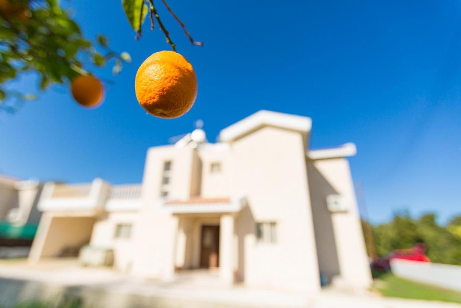 Villa Clementina Kato Yialia Ngoại thất bức ảnh